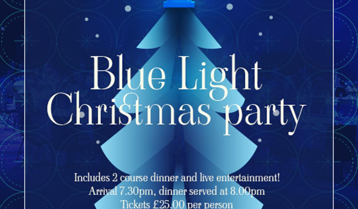 Blue Light Christmas Party