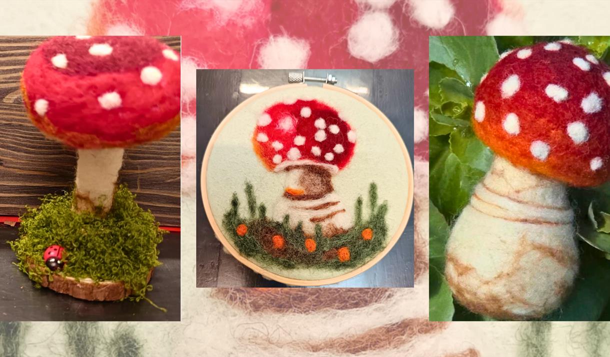 Felted Mushroom Sculptures Workshop
