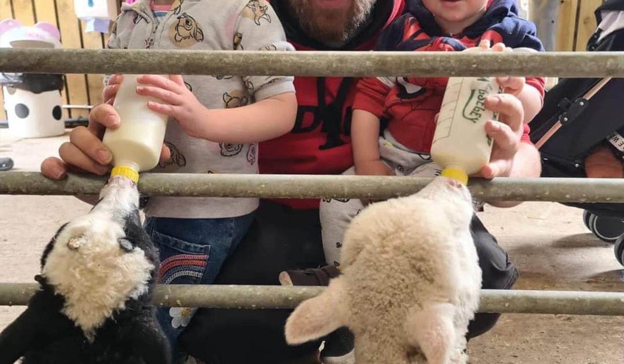 Half Term Fun at the Farm