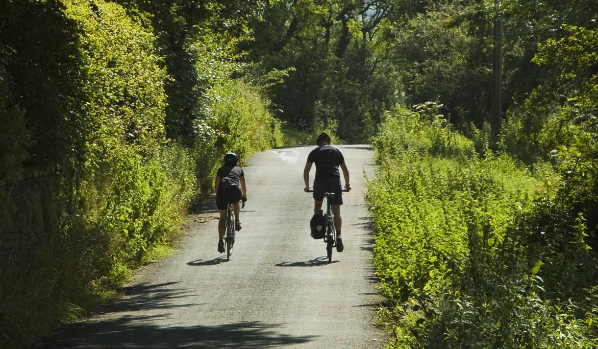 Woman and  man riding bicycles in the sunshine along a narrow country lane bordered by hedges.
