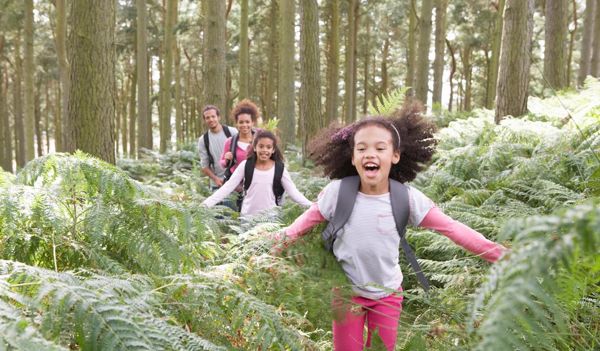Forest School Taster at Brockholes
