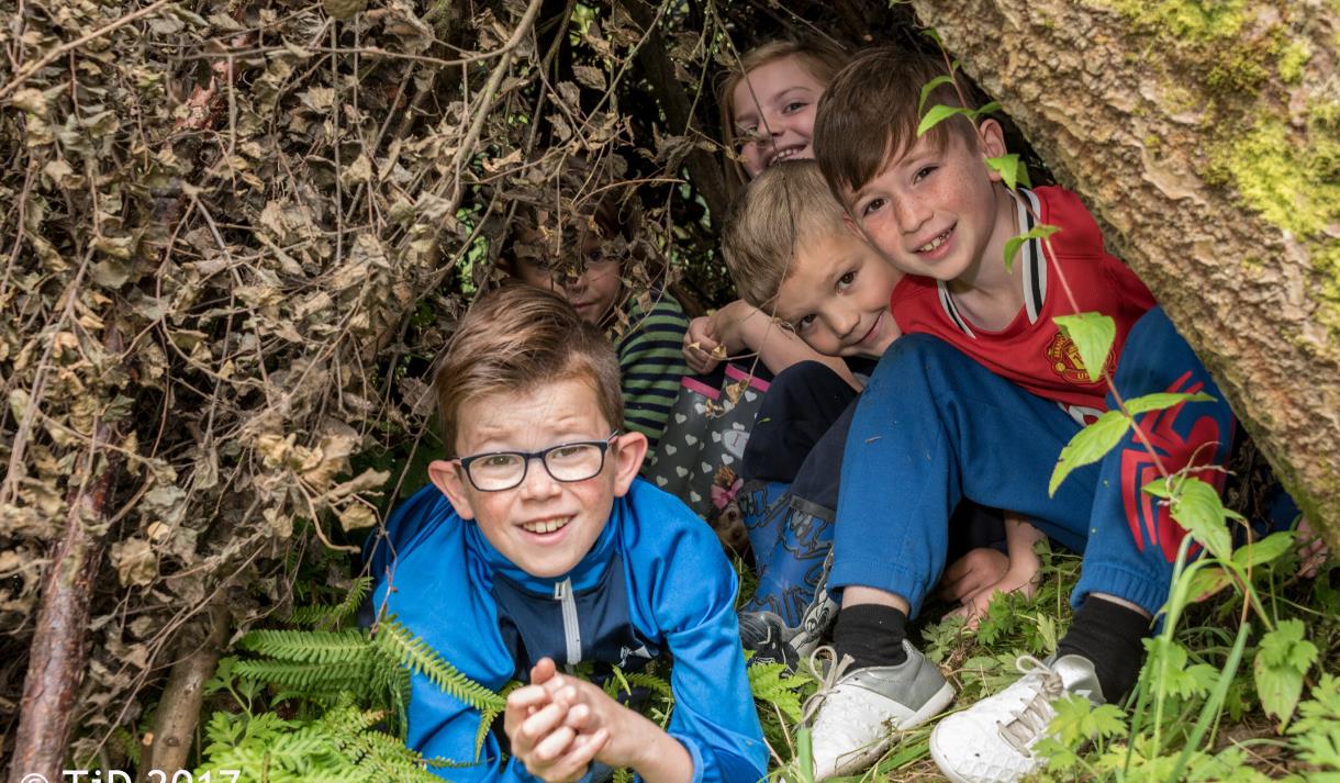 Forest School Family Fun