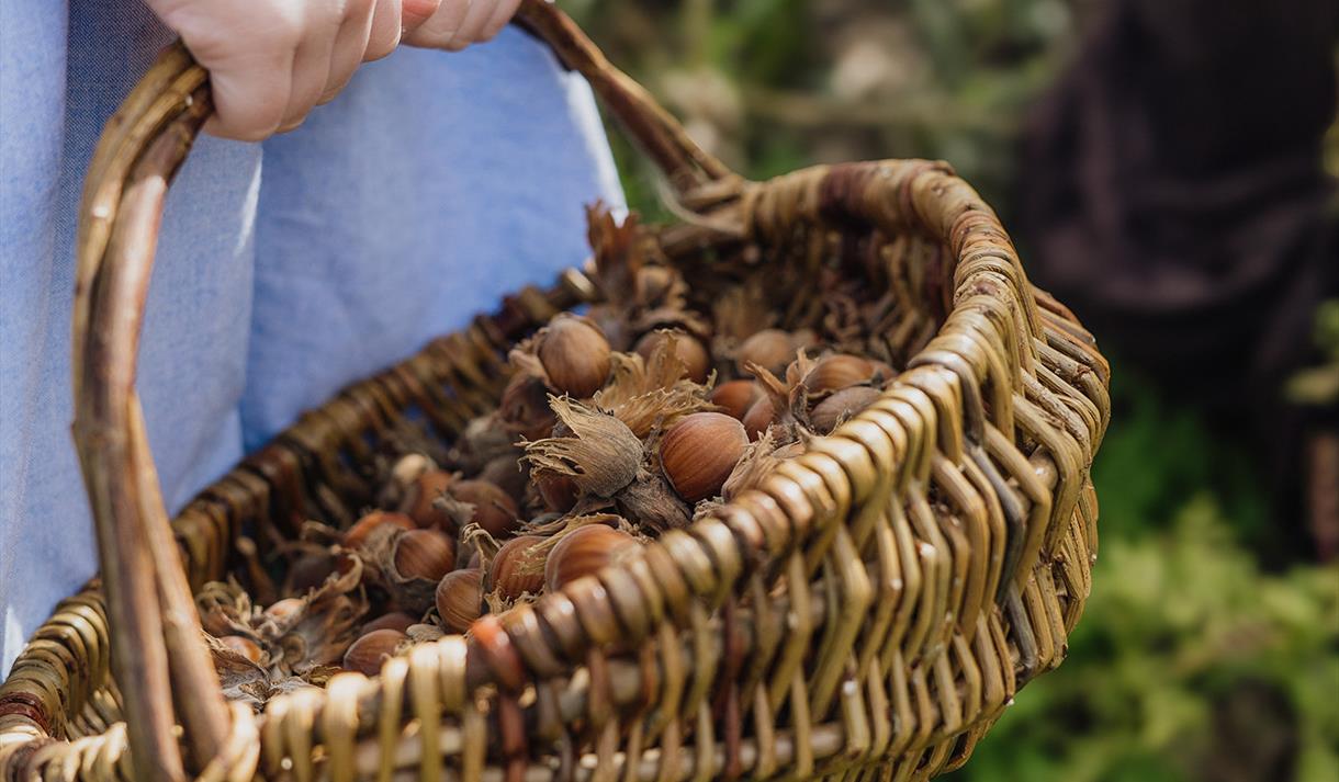 Spring Willow Frame Basket Workshop