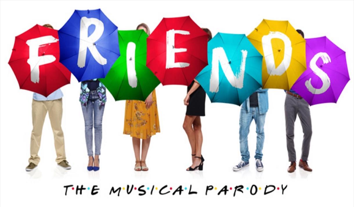 Friends! The Musical Parody