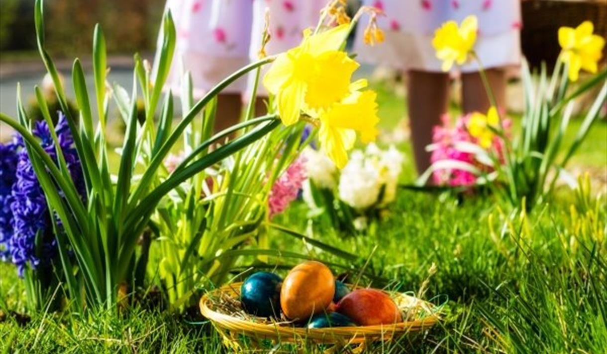 Easter Monday Kids Fun Day at Gibbon Bridge Hotel