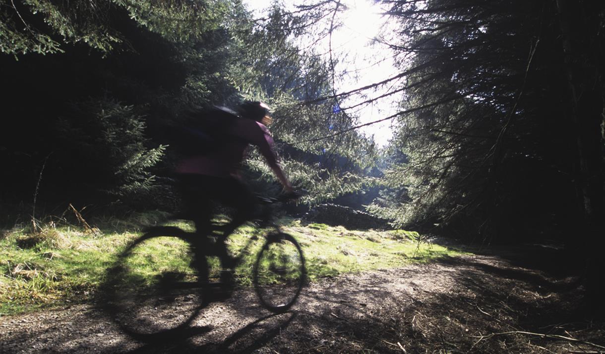 Family Friendly Route - Gisburn Forest