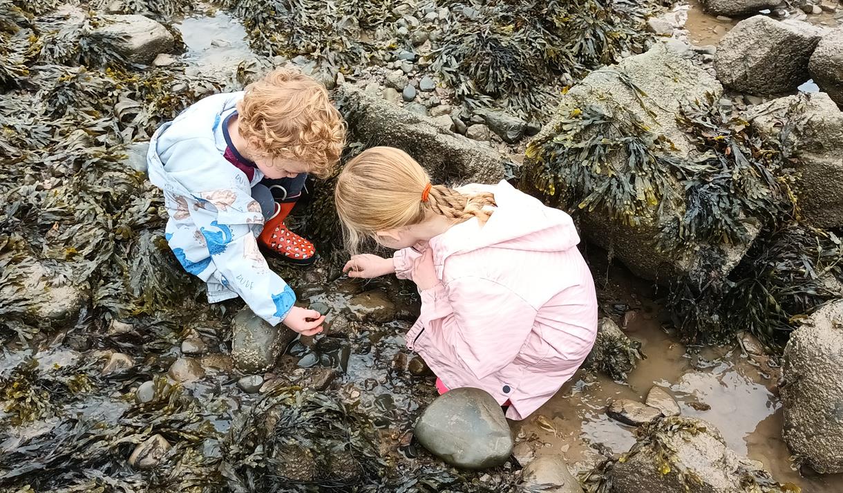 Geology Family Event at Half Moon Bay