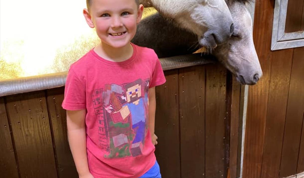 Penny Farm Summer Fair