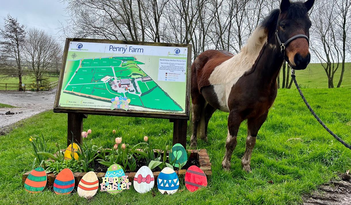 Easter Fun at Penny Farm