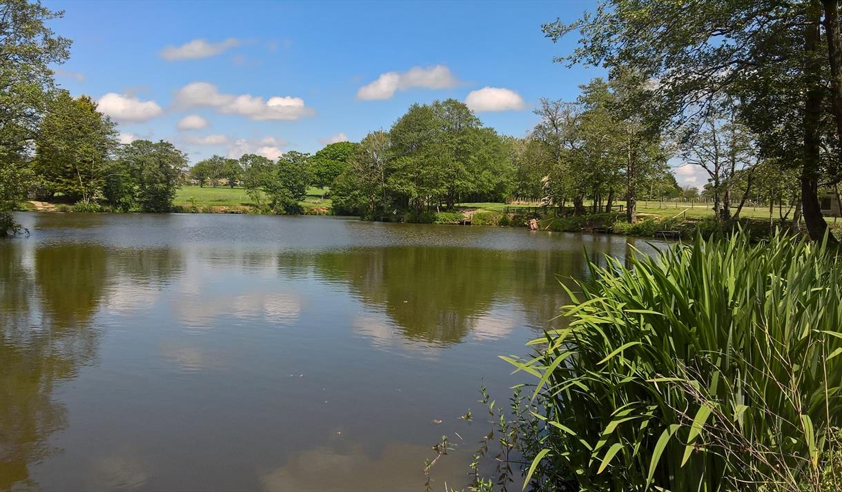 The Horns Dam Fishery