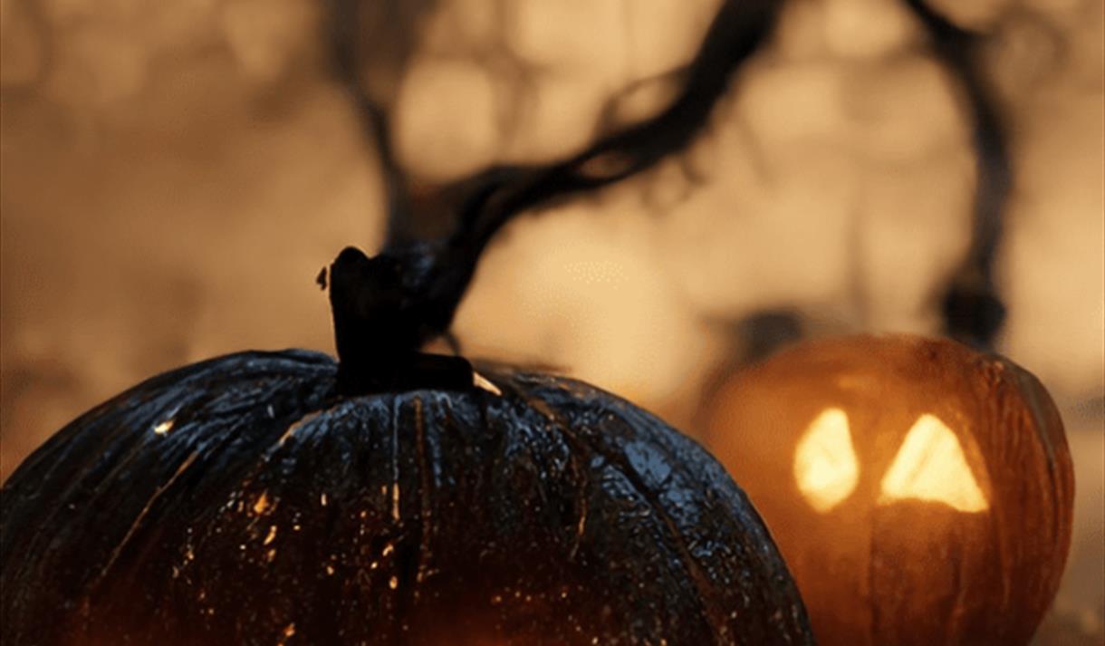 Horrible Histories: Halloween Talk