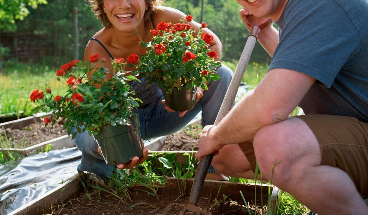 Introduction to Gardening Skills - 3 week course