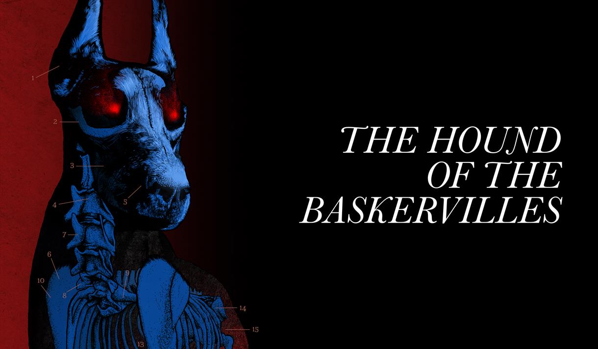 The Hound of the Baskervilles