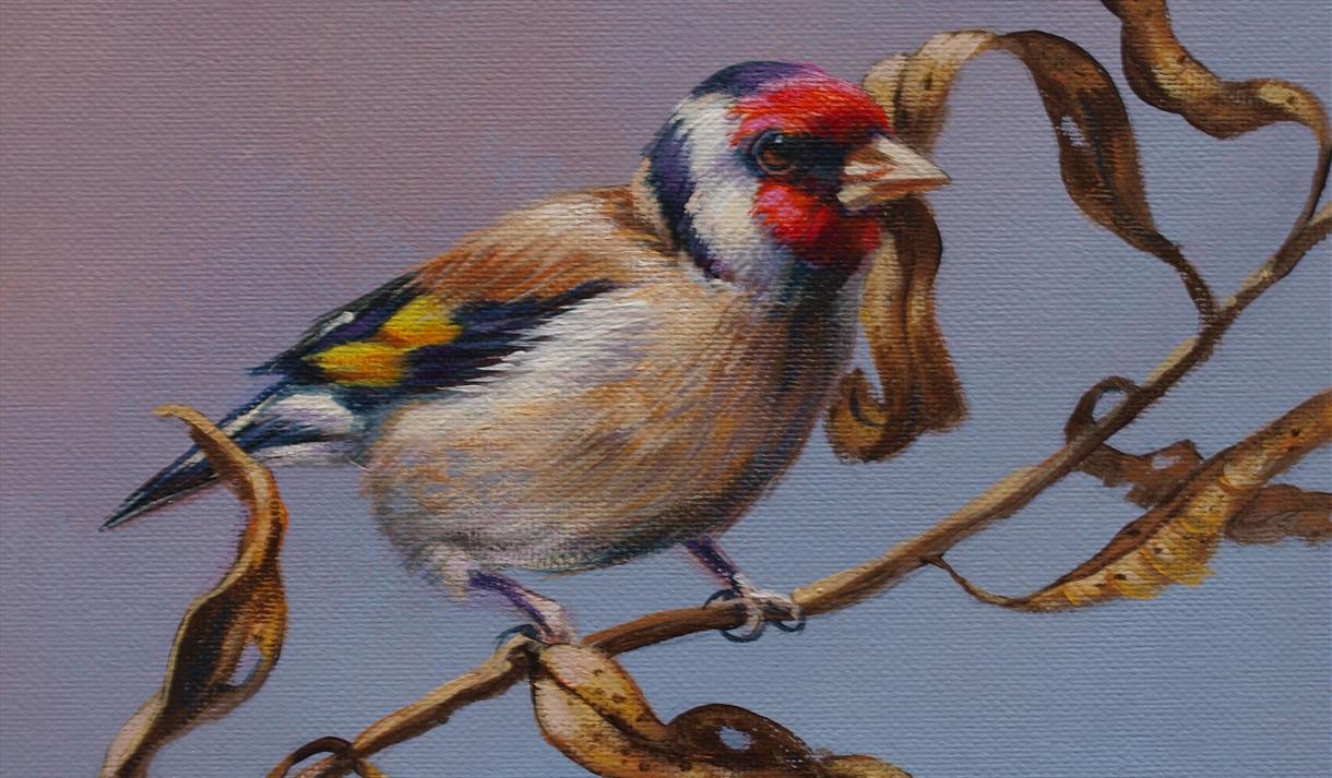 How to Paint Birds with Graham Lowe