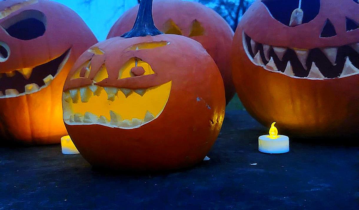 Pumpkin Trail at Edgeside Park