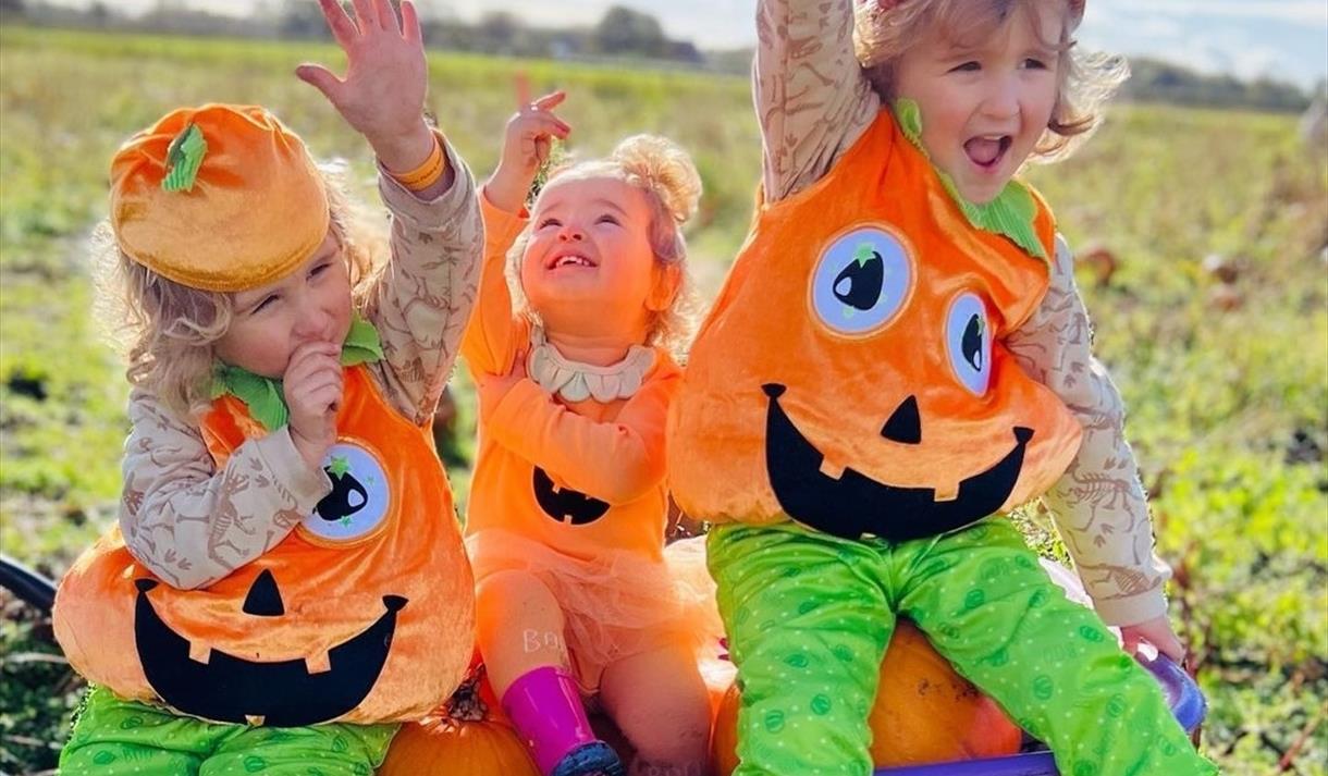 The Pumpkin Picking Adventure at Windmill Animal Farm