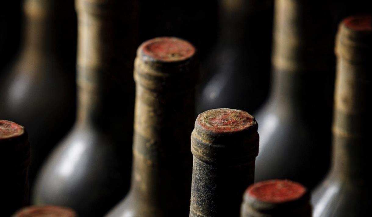 Tenuta Nozzole Wine Tasting and Dinner at La Locanda