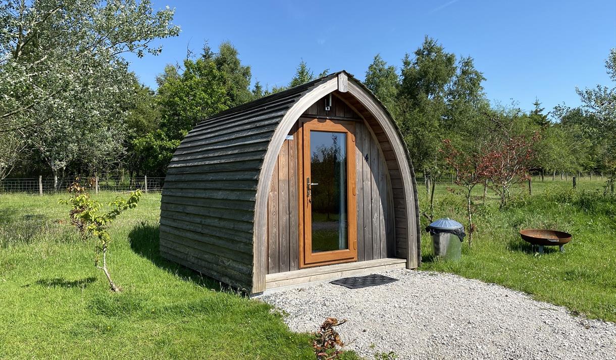 Bowland Wild Boar Park Camping Pods