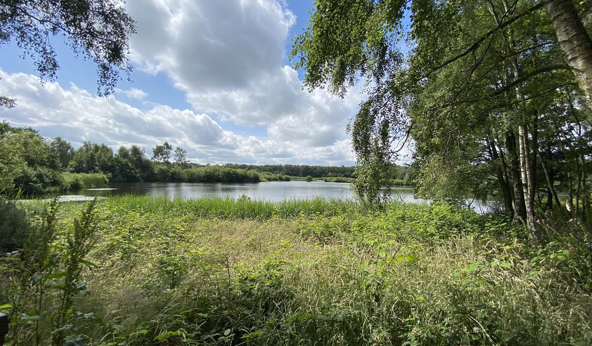 Mere Sands Wood Nature Reserve