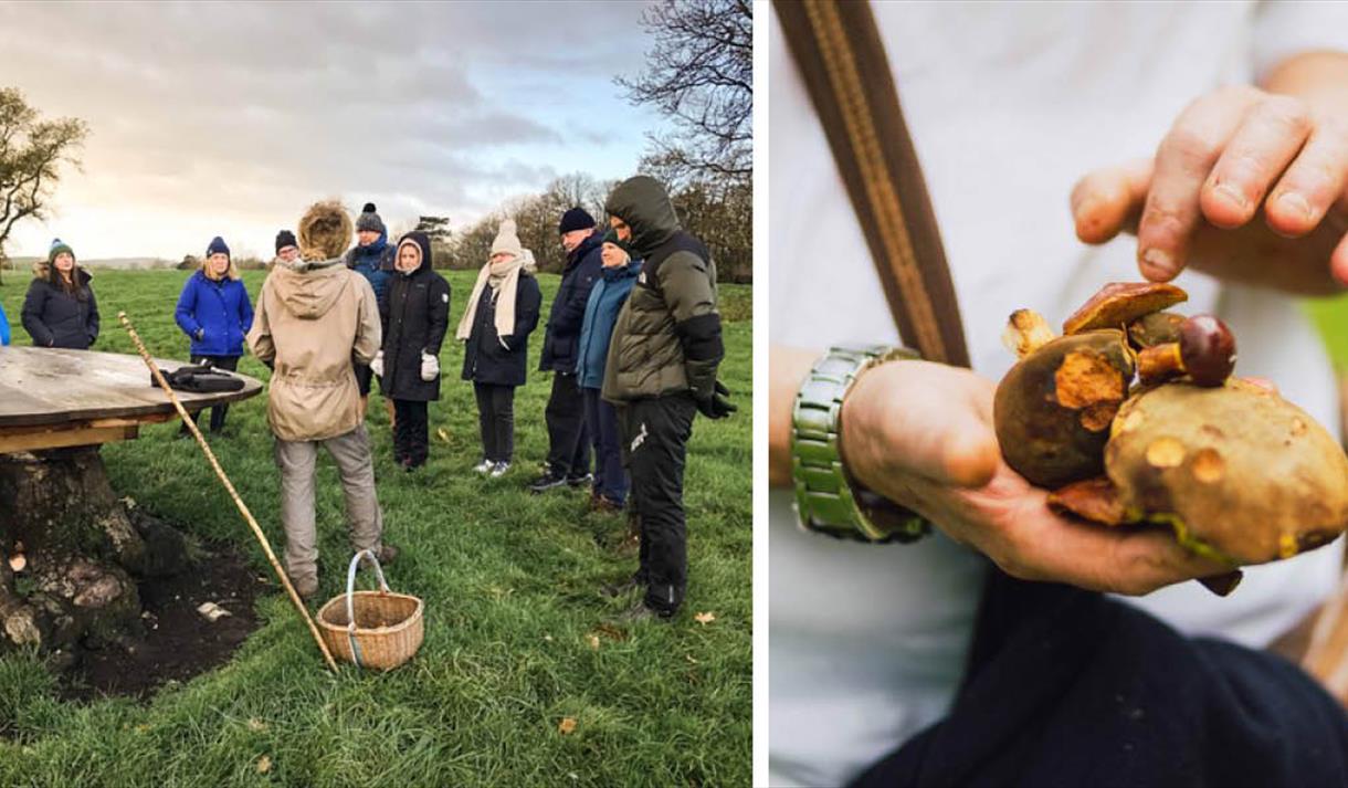 Sapore d'Autunno ~ A Taste of Autumn ~ Foraging Event