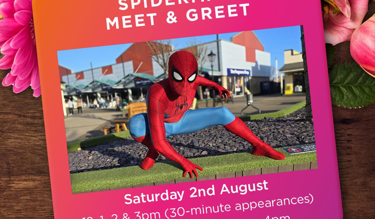 Spiderman Meet & Greet with Face Painting