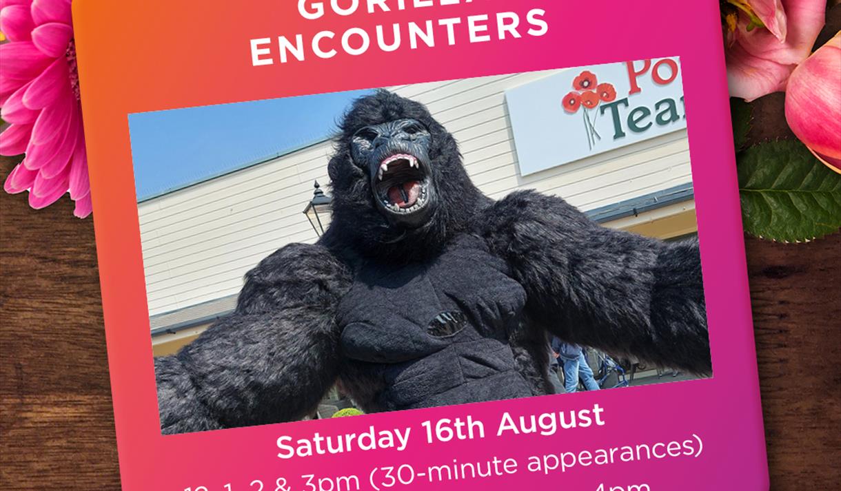 Gorilla Encounters with Face Painting