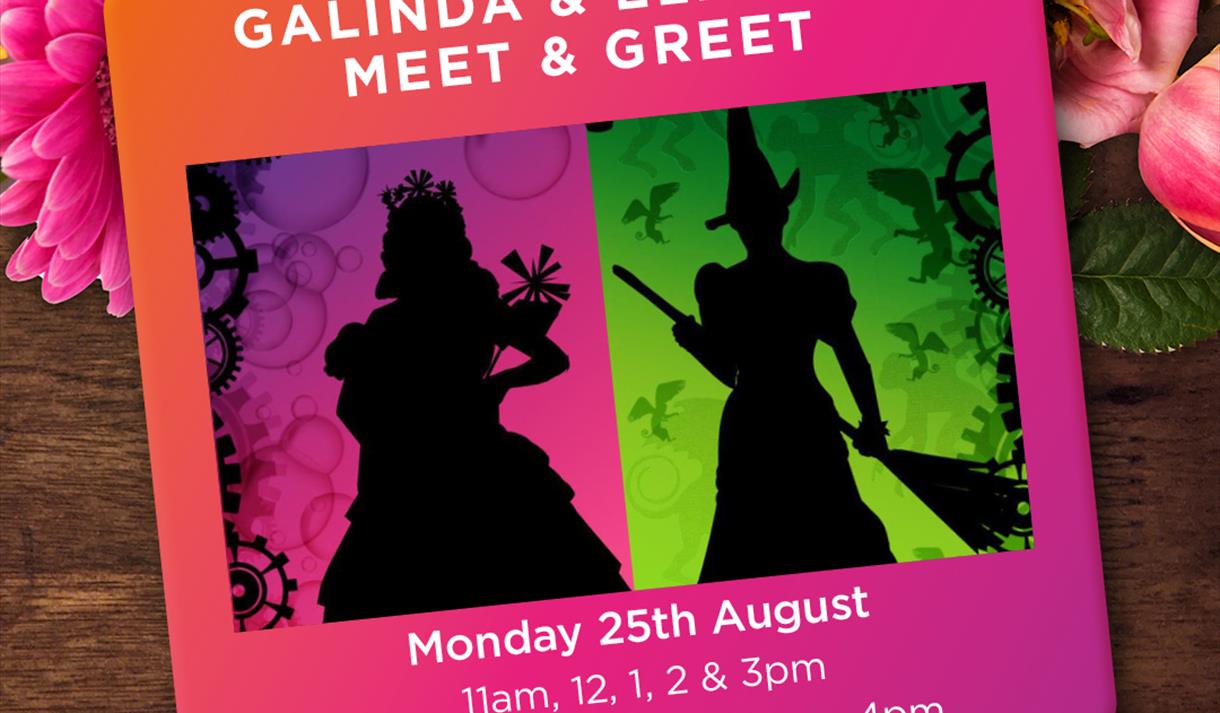 Wicked Galinda & Elphaba Meet & Greet with Face Painting