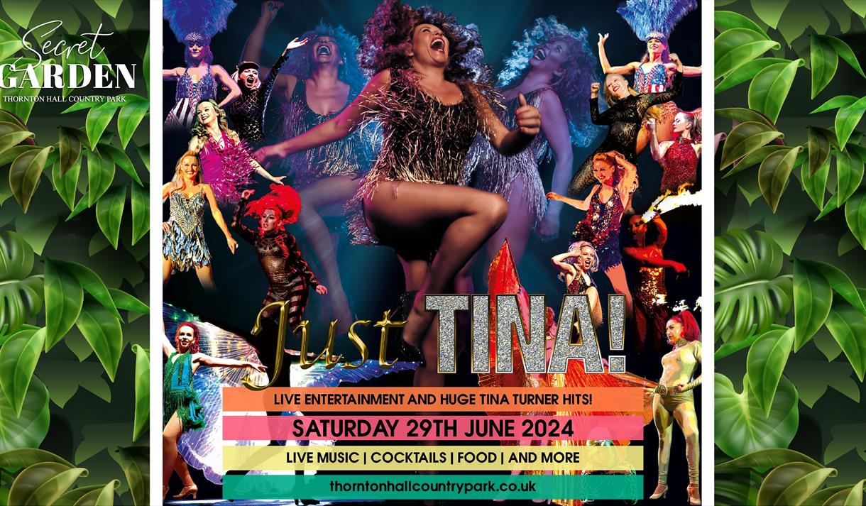 Just Tina: Tribute