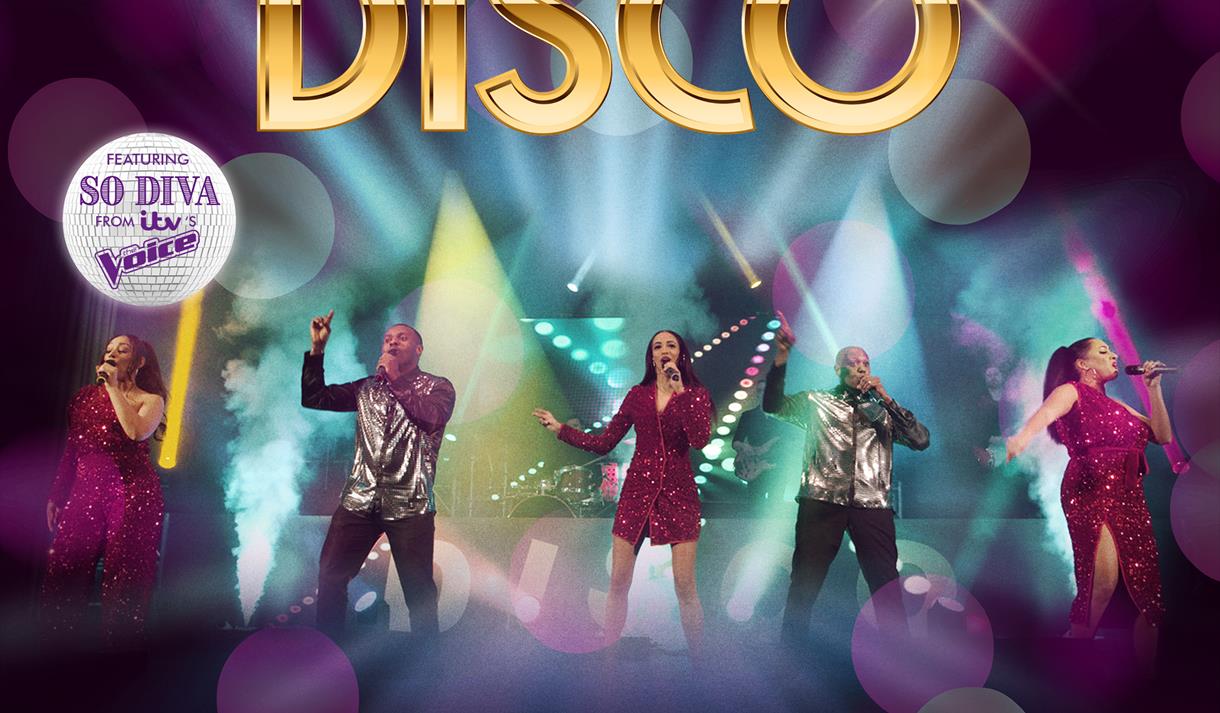 THE LAST DAYS OF DISCO