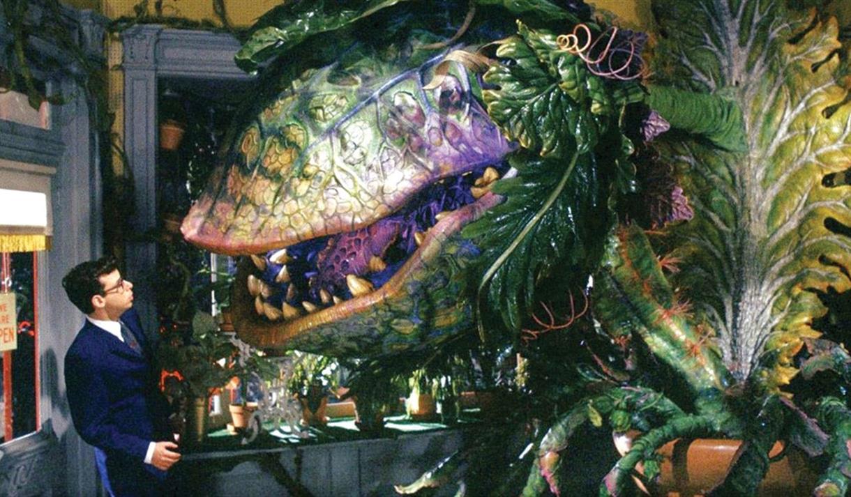 The Little Shop of Horrors