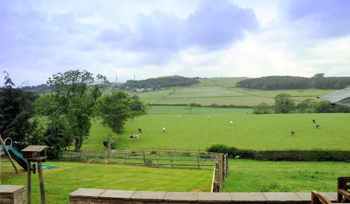 Lodge View Cottages