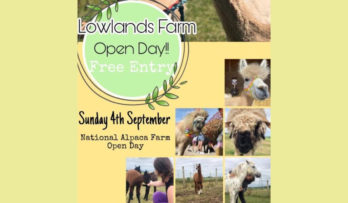 Lowlands Farm Open Day
