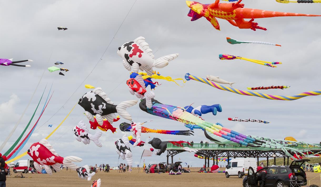 Kite Festival displays