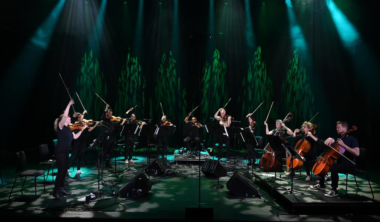 Manchester Camerata: Beethoven, the Original Disruptor