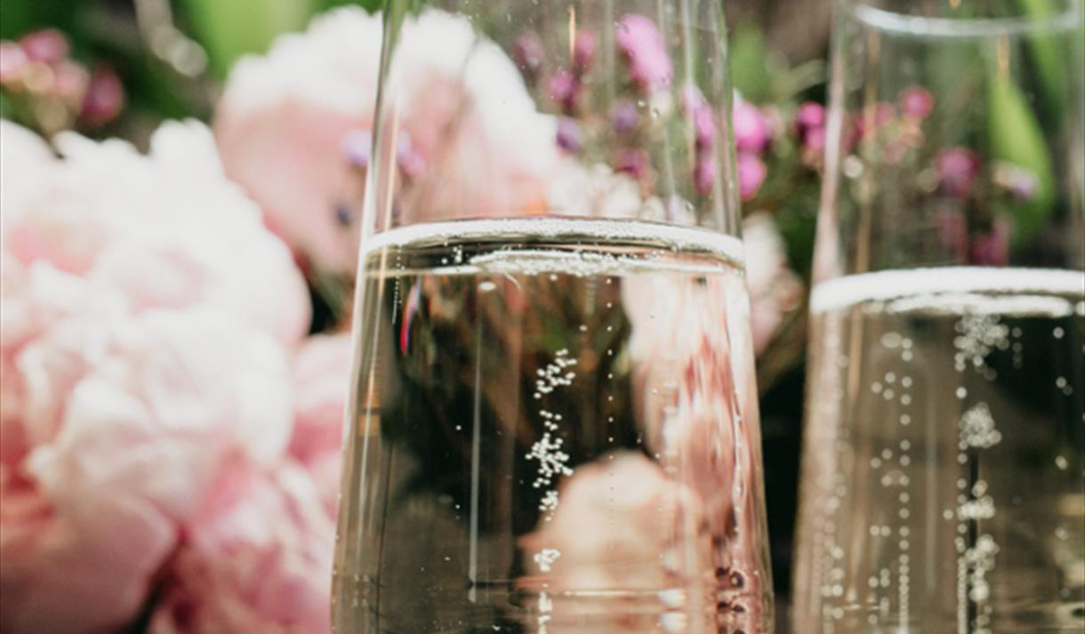 Sparkling Wine Tasting at Holden Clough