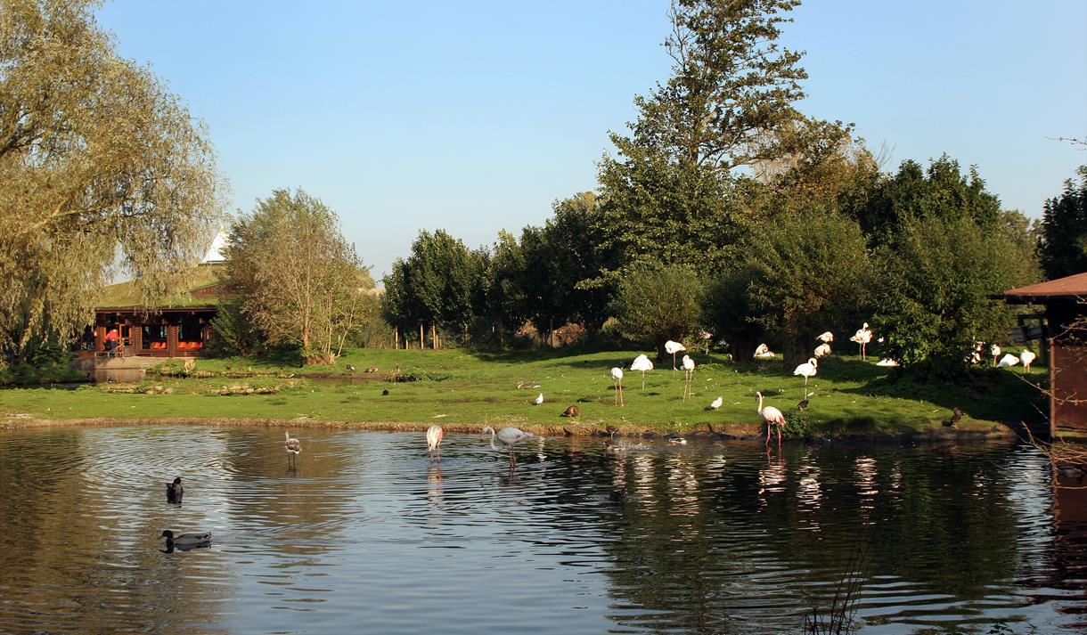 Lapwing Cycle Route - West Lancashire