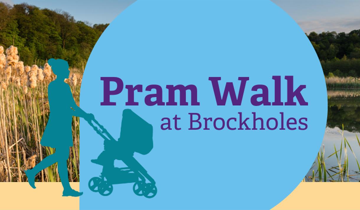 Pram Walk at Brockholes Nature Reserve