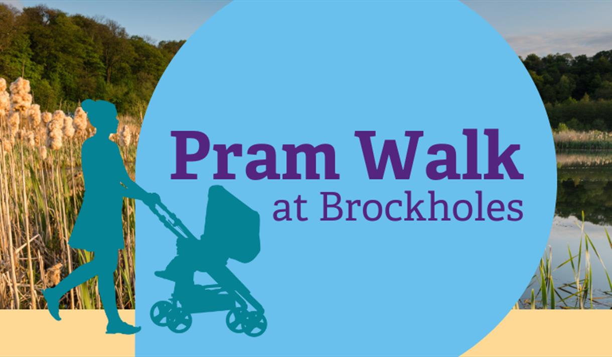 Pram Walk at Brockholes Reserve