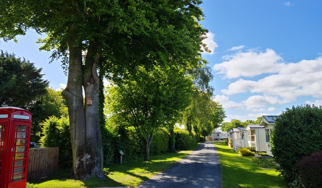 Moss Wood Caravan Park