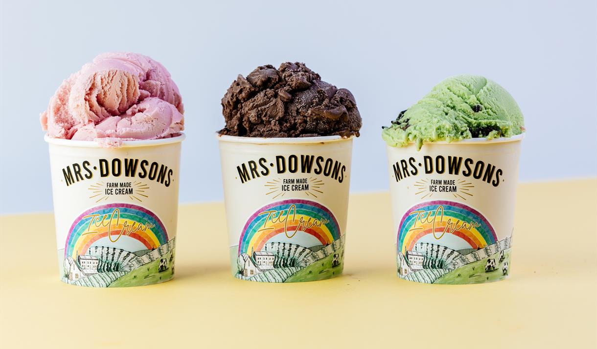 The famous Mrs Dowsons Ice cream, served in multicoloured sprinkled cone.