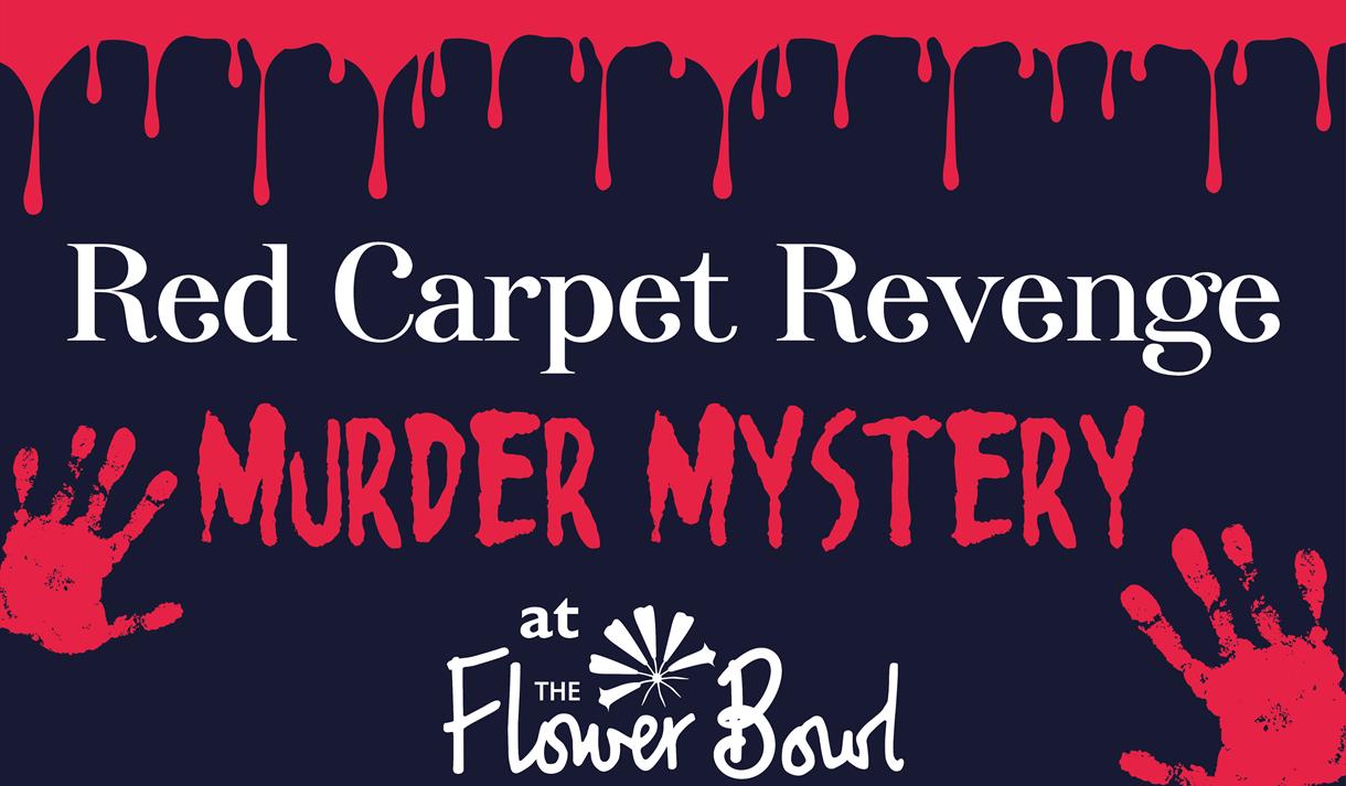 Red Carpet Revenge Murder Mystery
