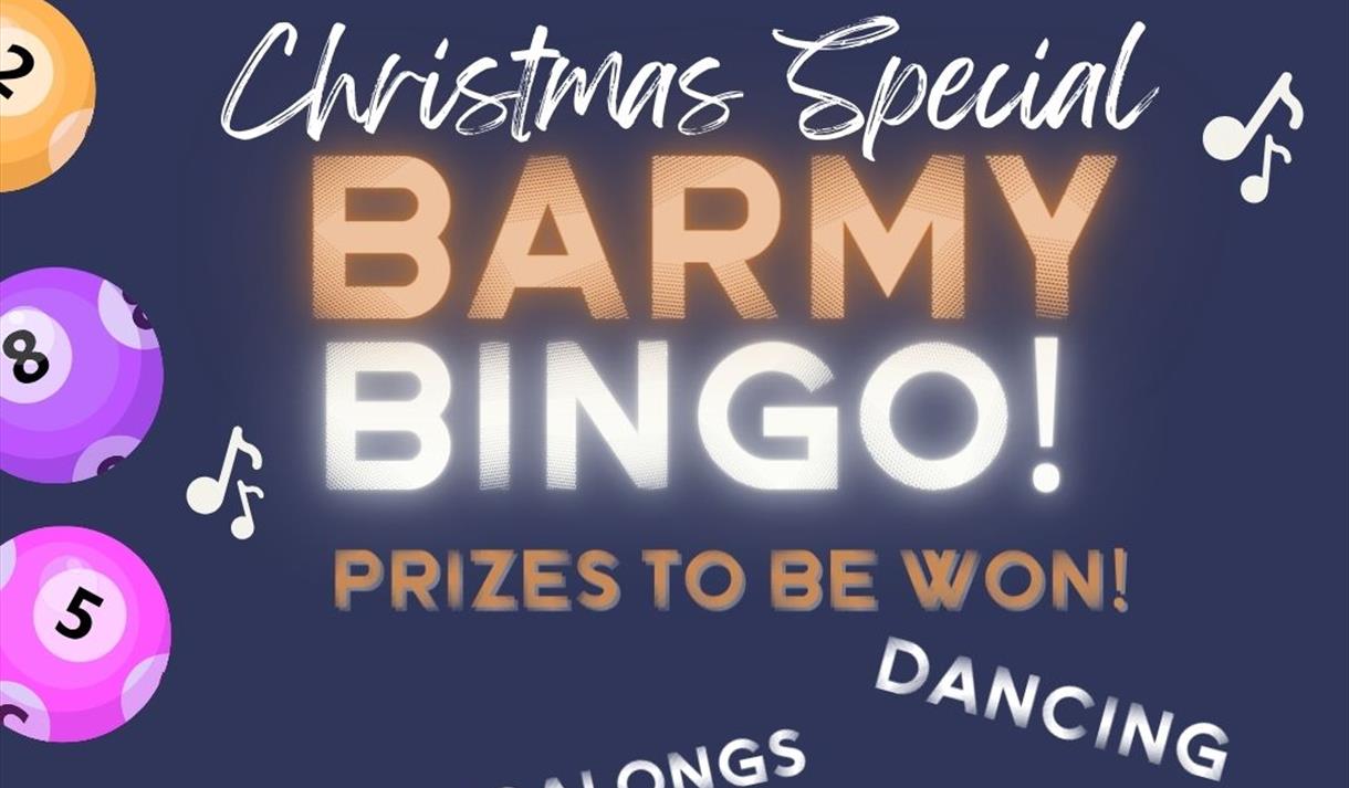 Barmy bingo Chirstmas special