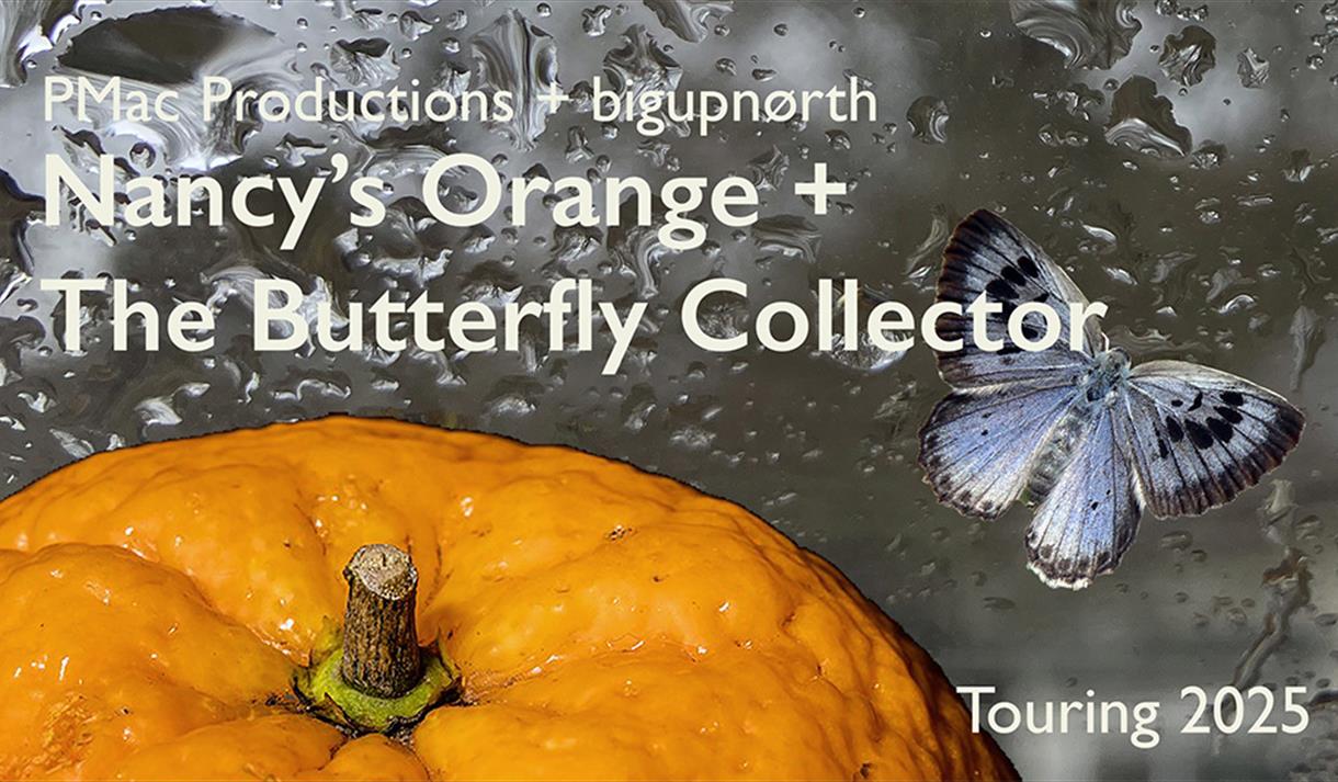 Nancy's Orange + The Butterfly Collector - Cherry Tree Library