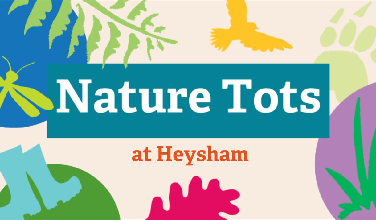 Nature Tots at Heysham Nature Reserve