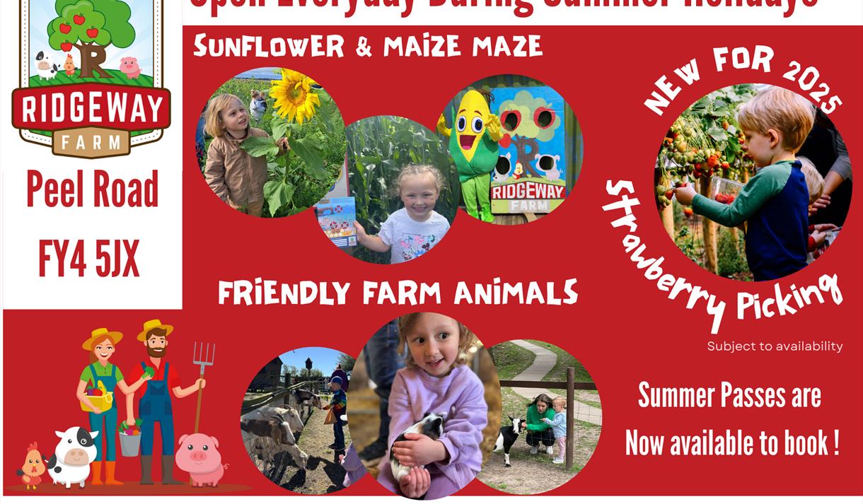 Blackpool Biggest Maize Maze
