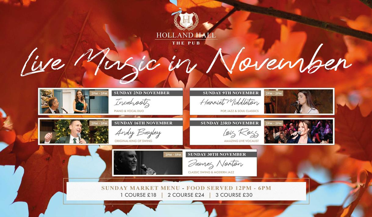 Live Music Sundays in November at The Pub at Holland Hall