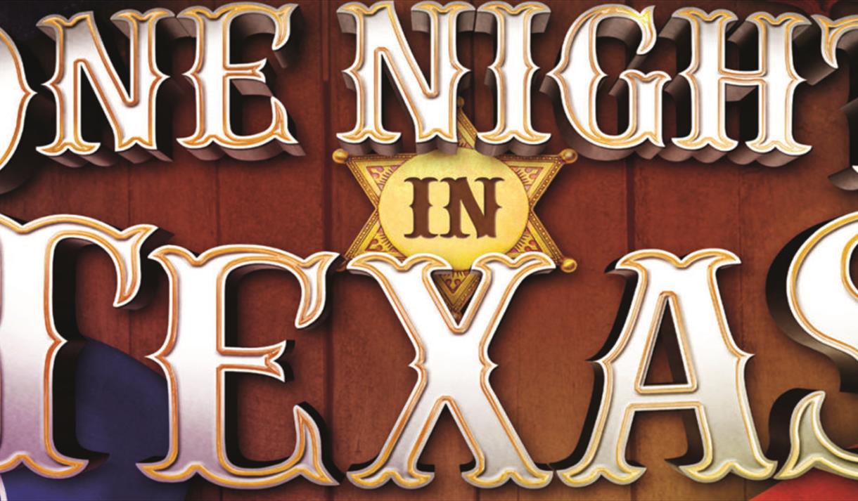 One Night in Texas