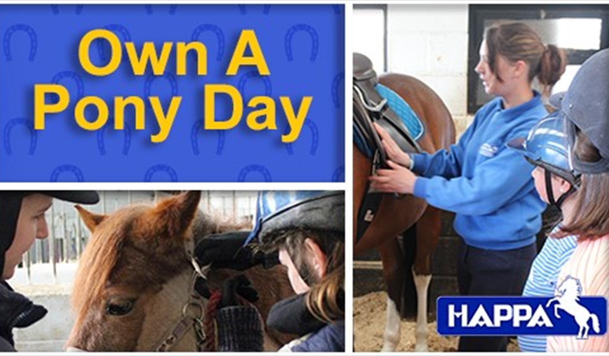 Own A Pony Day
