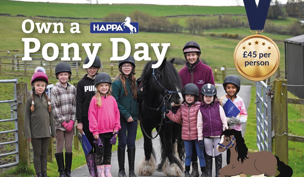 Own a Pony Day