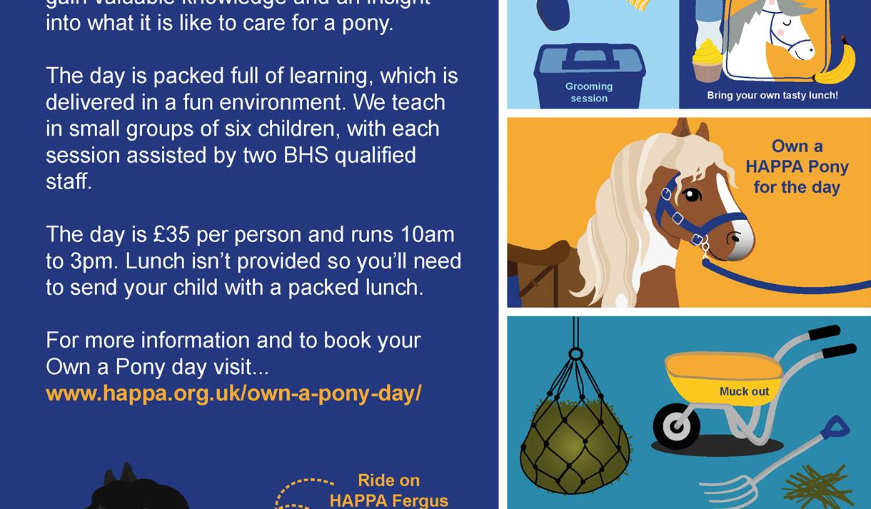 Own a Pony Day